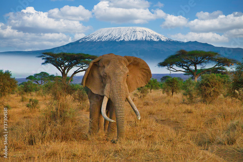 Elefanten und der Kilimandscharo im Amboseli Nationalpark © Mit *HPS* auf Reisen