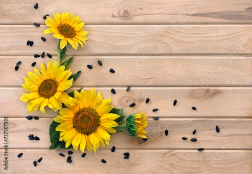 Fototapeta Naklejka Na Ścianę i Meble -  Yellow flowers of sunflower and seed on background of wooden planks with space for text. Top view, flat lay