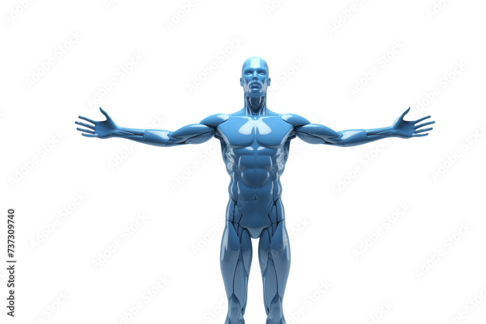 muscle woman standing up in white background muscle woman standing up in white background
