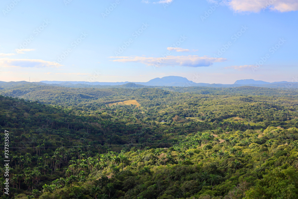 The Valley of 1000 Palms, Valle de Yumuri in Cuba, Caribbean, America.