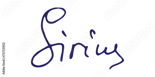Fake signature hand drawn sample own autograph. Fictitious handwritten signature. Blue ink color. Scribble for sample contracts documents certificates or letters. Vector illustration.