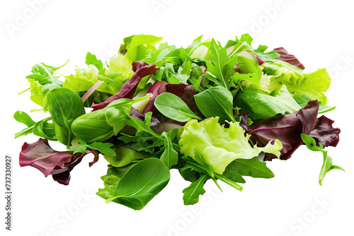 Fresh mixed salad greens isolated