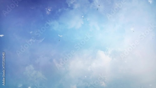 Blue Skies Clouds with Floating Dandelions 4K Loop features a blue sky with moving cloud formations and dandelion tops floating in the wind in a loop.