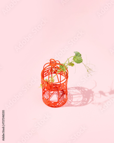 Plant in a birdcage, creative composition on a pastel pink background, awakening of nature in spring, minimal concept.