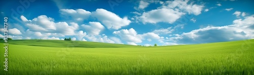 Green grass field under blue sky with white clouds © inspiretta
