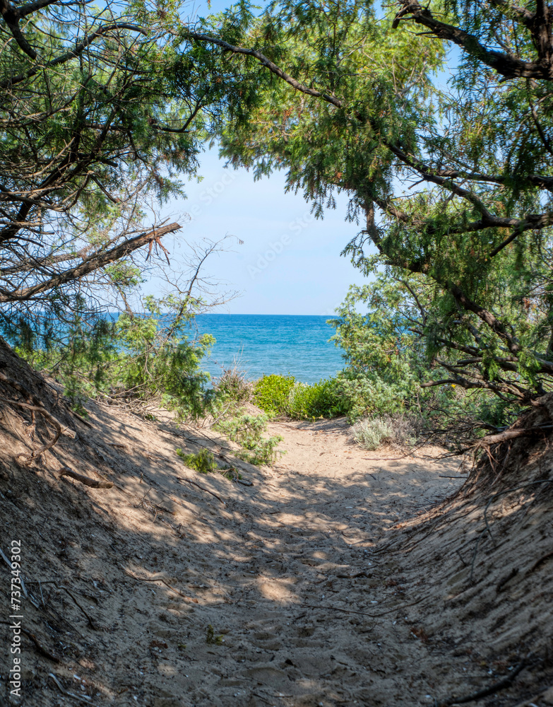 Access to the sea through natural sand dunes, near Sabaudia, Italy. Mediterranean scrub. Access to the sea through natural sand dunes, near Sabaudia, Italy. Mediterranean scrub.
