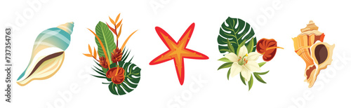 Spiral Conch and Sea Shell and Tropical Exotic Flora Vector Set