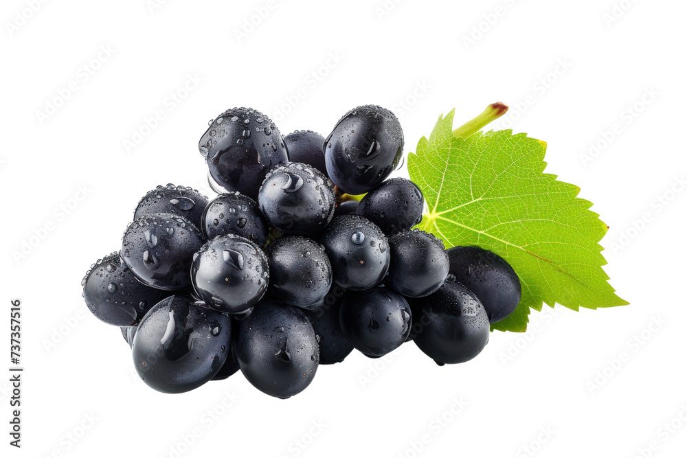 Black grapes. Fresh grapes isolated on transparent white background. Black grapes. Fresh grapes isolated on transparent white background.
