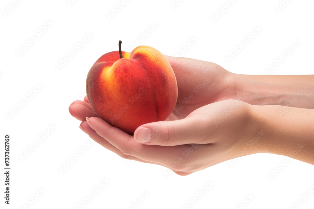 A persons hand gracefully holds a single Peach, showcasing the simplicity of this natural fruit. Isolated. A persons hand gracefully holds a single Peach, showcasing the simplicity of this natural fruit. Isolated.