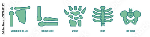 Hip bone, Ribs, Wrist, Elbow bone, Shoulder blade editable stroke outline icons set isolated on white background flat vector illustration.