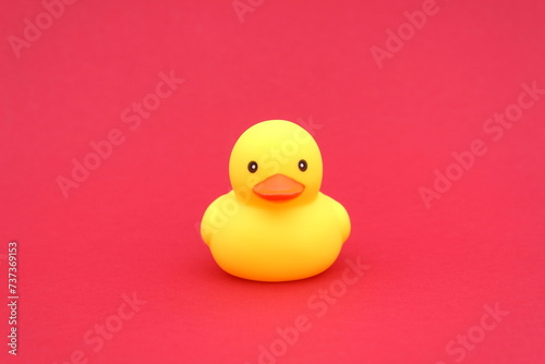 A yellow rubber duck stands on a red background.