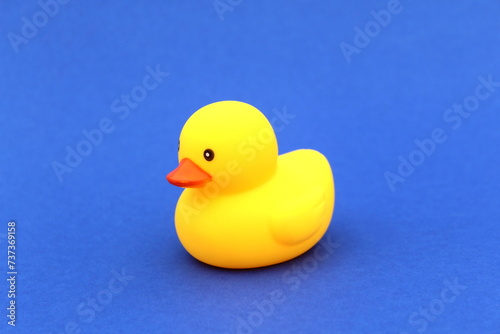 A yellow rubber ducky stands on a blue background.