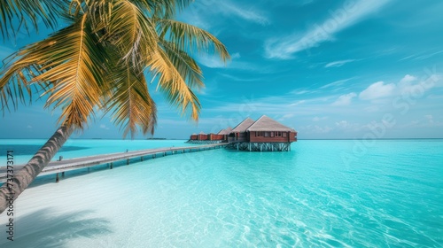 a palm tree sitting a pier next to a body of water with a hut it.