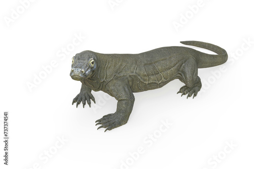 komodo dragon in cool view on white background