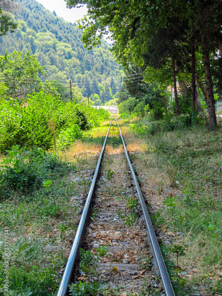 Fototapeta premium Small railroad and trees in the city