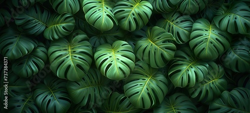 Green  leaves background 