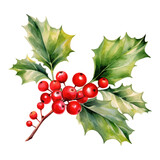 Holly watercolor Illustration for greeting cards, printing and other design projects.