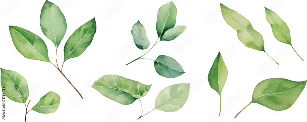 Set of watercolor green leaves elements. Collection botanical decoration suitable for Wedding Invitation, Greeting card. - obrazy, fototapety, plakaty 