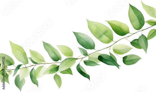 Set of watercolor green leaves elements. Collection botanical decoration suitable for Wedding Invitation, Greeting card.
