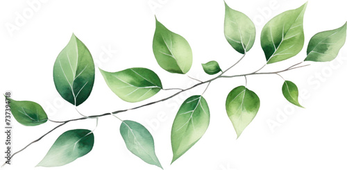 Set of watercolor green leaves elements. Collection botanical decoration suitable for Wedding Invitation  Greeting card.