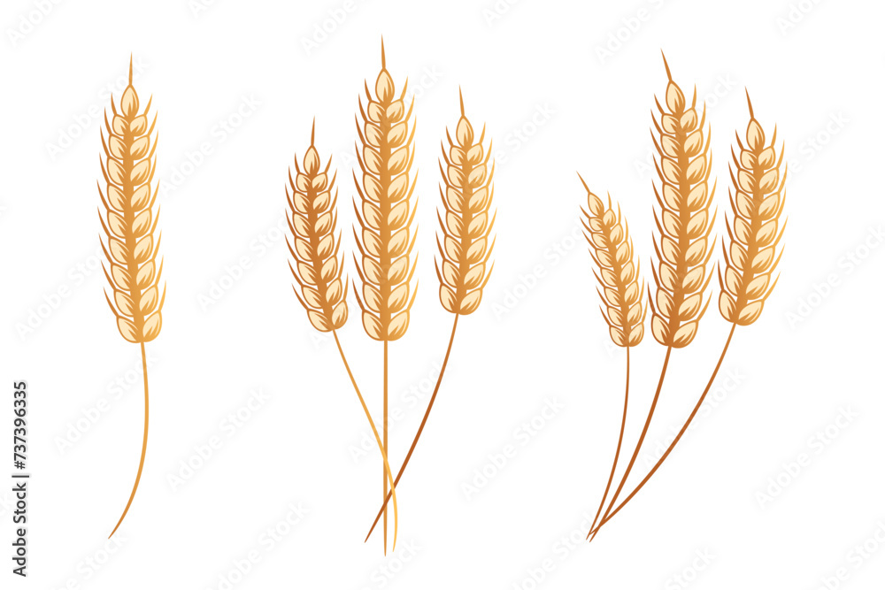 Set of bouquets of spikelets of wheat, rye, barley, golden design. Decor elements, icons, vector Set of bouquets of spikelets of wheat, rye, barley, golden design. Decor elements, icons, vector