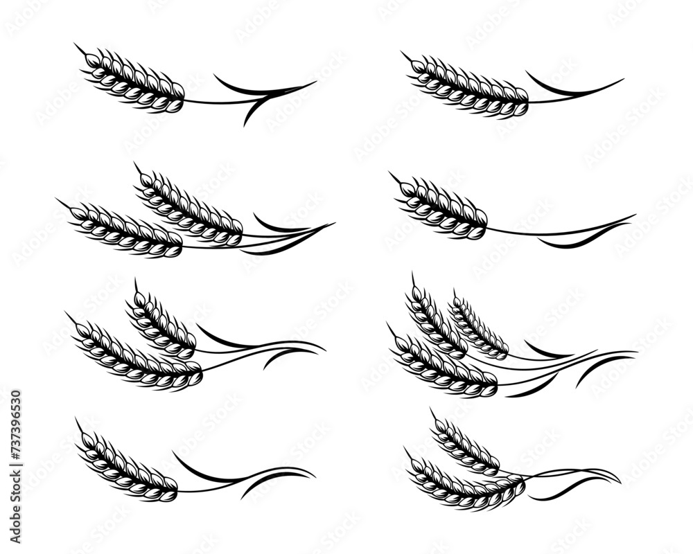 Set of spikelets of wheat, rye, barley, line art. Decor elements, logo, icons, vector Set of spikelets of wheat, rye, barley, line art. Decor elements, logo, icons, vector