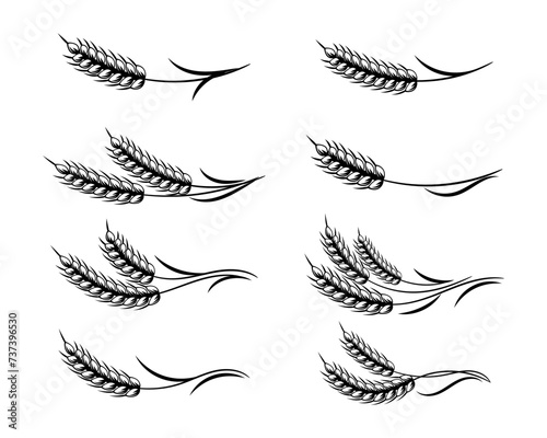 Set of spikelets of wheat, rye, barley, line art. Decor elements, logo, icons, vector