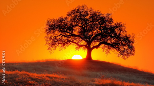 The sun sets behind a lone tree on a hill, casting a vibrant orange hue across the sky.