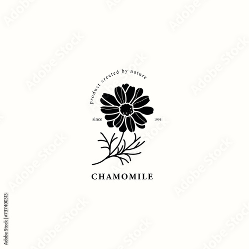 Flat vector chamomile flower drawing