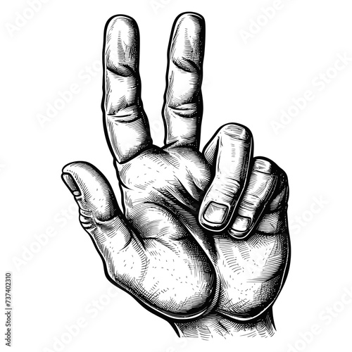 hand gesture in old engraving style for drawing reference