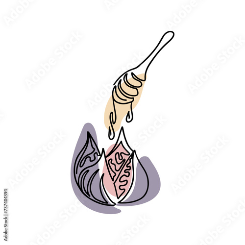 Single line contour fig and honey in boho style. Botanical vintage retro drawing. Contour line outline composition isolated on white background.