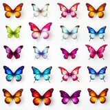 Pattern of butterflies on white background