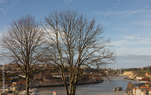 Vista do Douro do Jardim do Morro