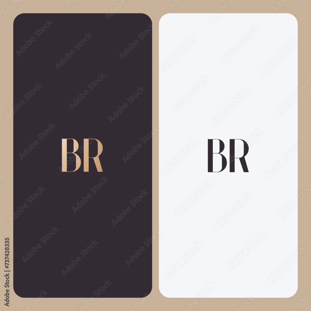 BR logo design vector image