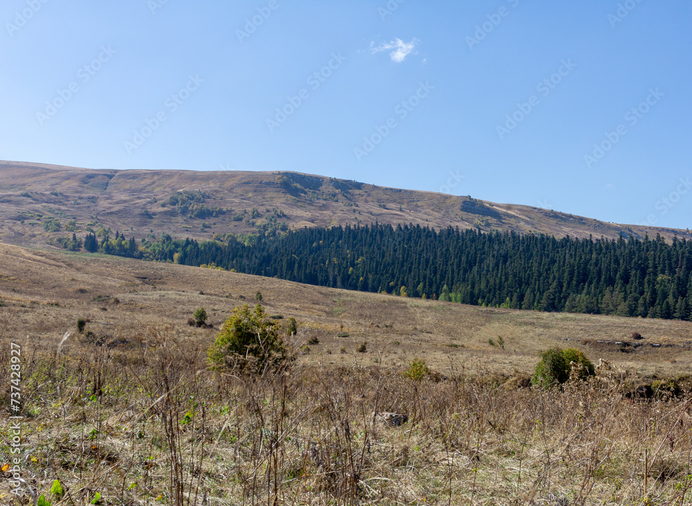 autumn day, mountainous terrain , panorama of the terrain and riverbed walks in the bosom of nature