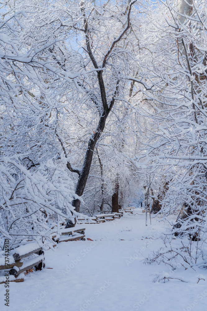Snowy Morning in Sedona Arizona USA