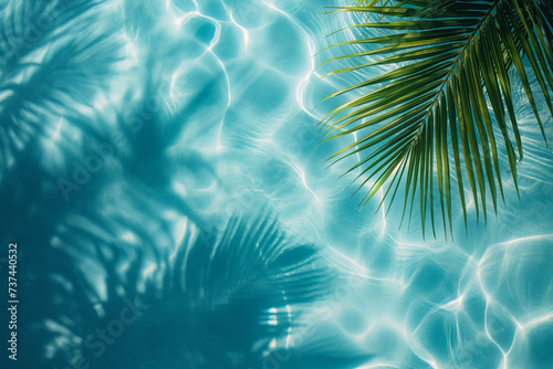 Water and sand surface with tropical palm leaves shadow. Green palm leaf shadow on white sand beach of an ocean shore. Tropical background for summer vacation at the beach. Calm sea, perfect vacation