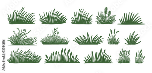 Grass doodle sketch flower garden hand drawn green vector set. Grass clover floral wavy meadow set