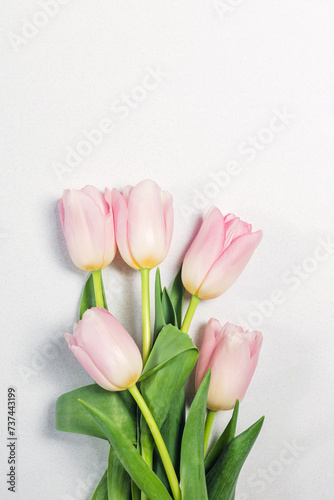 Fototapeta Naklejka Na Ścianę i Meble -  Fresh light pink tulips, springtime composition