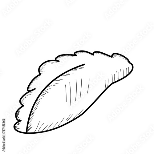 Hand Drawn Mexican Empanada Doodle 