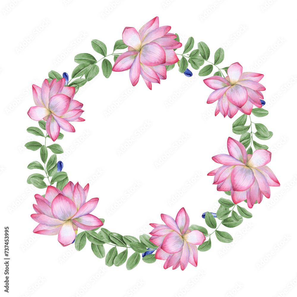 Blooming pink white lotus, anchan leaves. Wreath with Water Lily, wisteria leaves. Indian lotus, green leaf, sacred lotus. Watercolor illustration. Copy space for text. For poster, cards, greeting