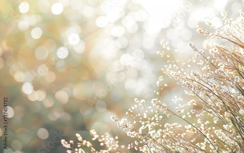 Golden sunlight illuminating delicate wildflowers, creating an ethereal glow amidst soft focus bokeh lights