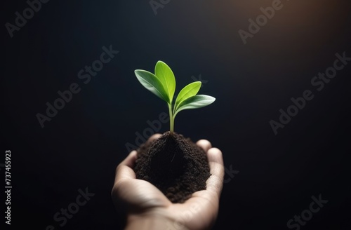 Arbor Day, a handful of earth in your hands, a green sprout in your palms, Handholding tree sapling, planting plants, a young plant grows out of the soil, dark background