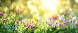 The sun's golden rays illuminate a meadow of wildflowers, creating a bokeh effect that adds a dreamy quality to the vibrant scene