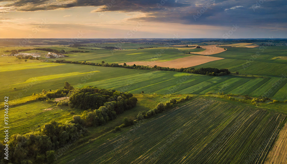 Aerial view of lush green farmland at dusk, evoking tranquility and agricultural abundance