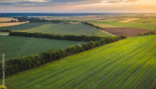 Aerial view of lush green farmland at dusk  evoking tranquility and agricultural abundance