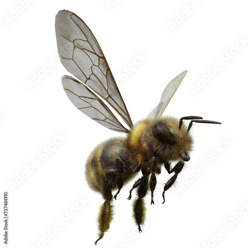 A 3d rendered flying bee isolated as an overlay  photo