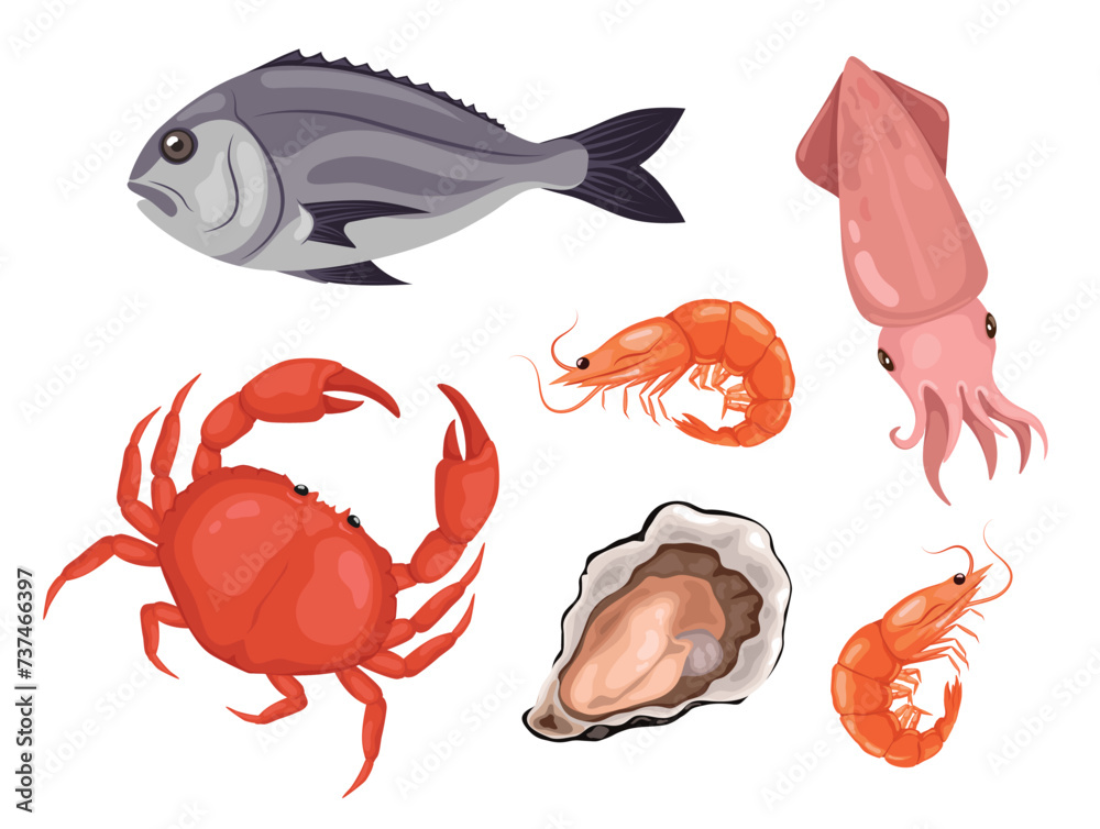 Set of fresh sea animals, fresh seafood.