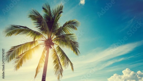 palm tree © Susan