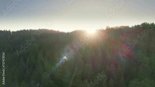 Redwood forest in Northern California aerial shot with lens flare